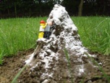 molehill2.JPG